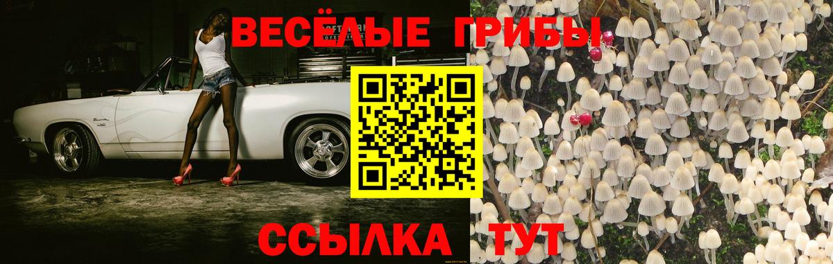 Псилоцибиновые грибы Psilocybe Севастополь